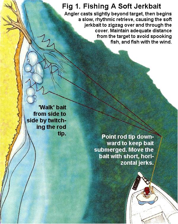 Bernie Schultz Fishing - Kevin VanDam's Soft Jerkbait Technique